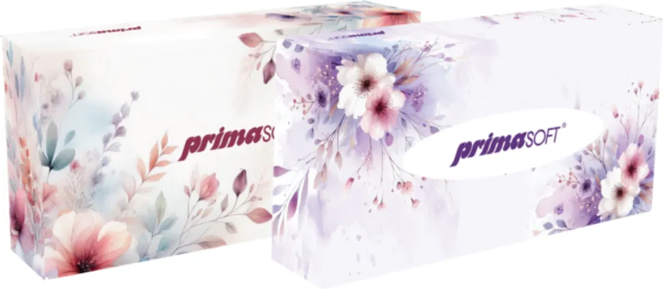 Prima Soft Servetele cosmetice, 2 straturi, 20 x 20cm, 100 buc/cutie, Prima Soft