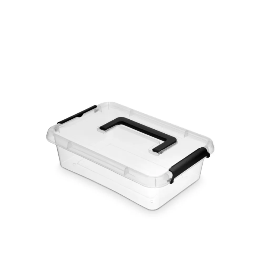 Nanobox Container plastic cu capac, transparent, ORPLAST Simple box - capacitate 3.1L - cu maner