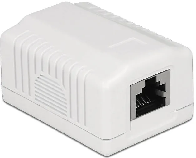 Accesoriu Retea DELOCK Priza de perete cu alimentare de retea, cu 1 port cat. 6A LSA