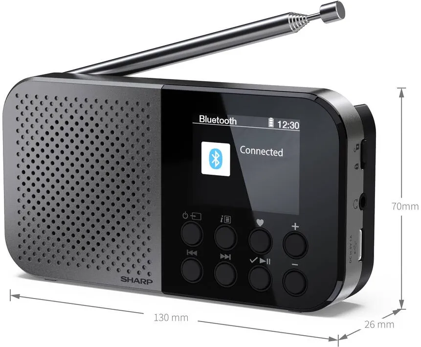 Sharp DR-P520(GY) OSAKA Pocket/Handheld Portable Digital Radio, Grey