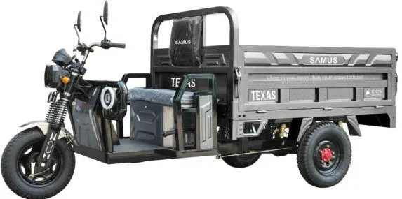 Samus Triciclu electric cargo Samus Texas-25-1.7-72V58 Silver