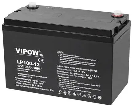 Vipow Acumulator GEL PLUMB 12V 100AH