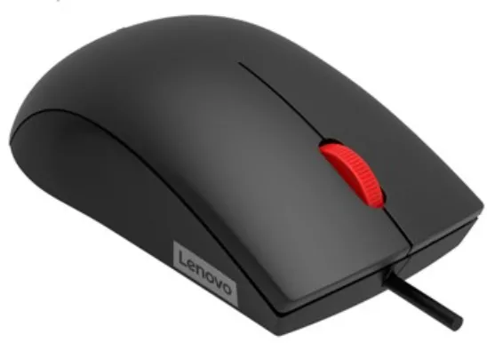 Mouse Lenovo Accessories 120 Wired