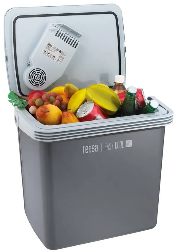 teesa Teesa TSA5001.1 cool box 25 L Electric Grey