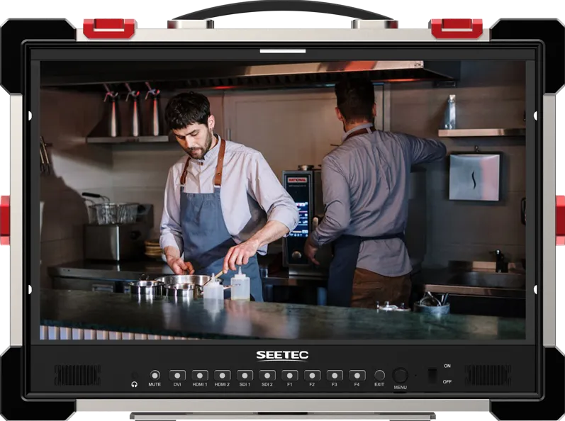 SEETEC monitor P215 PRO-CO