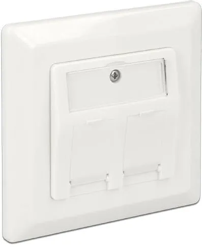 Adaptor DELOCK 86202, Keystone Wall Outlet surface mount outlet