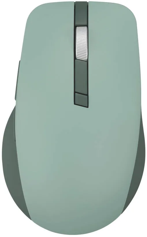 Mouse Asus ASUS MD200 MOUSE/GN/SILENT