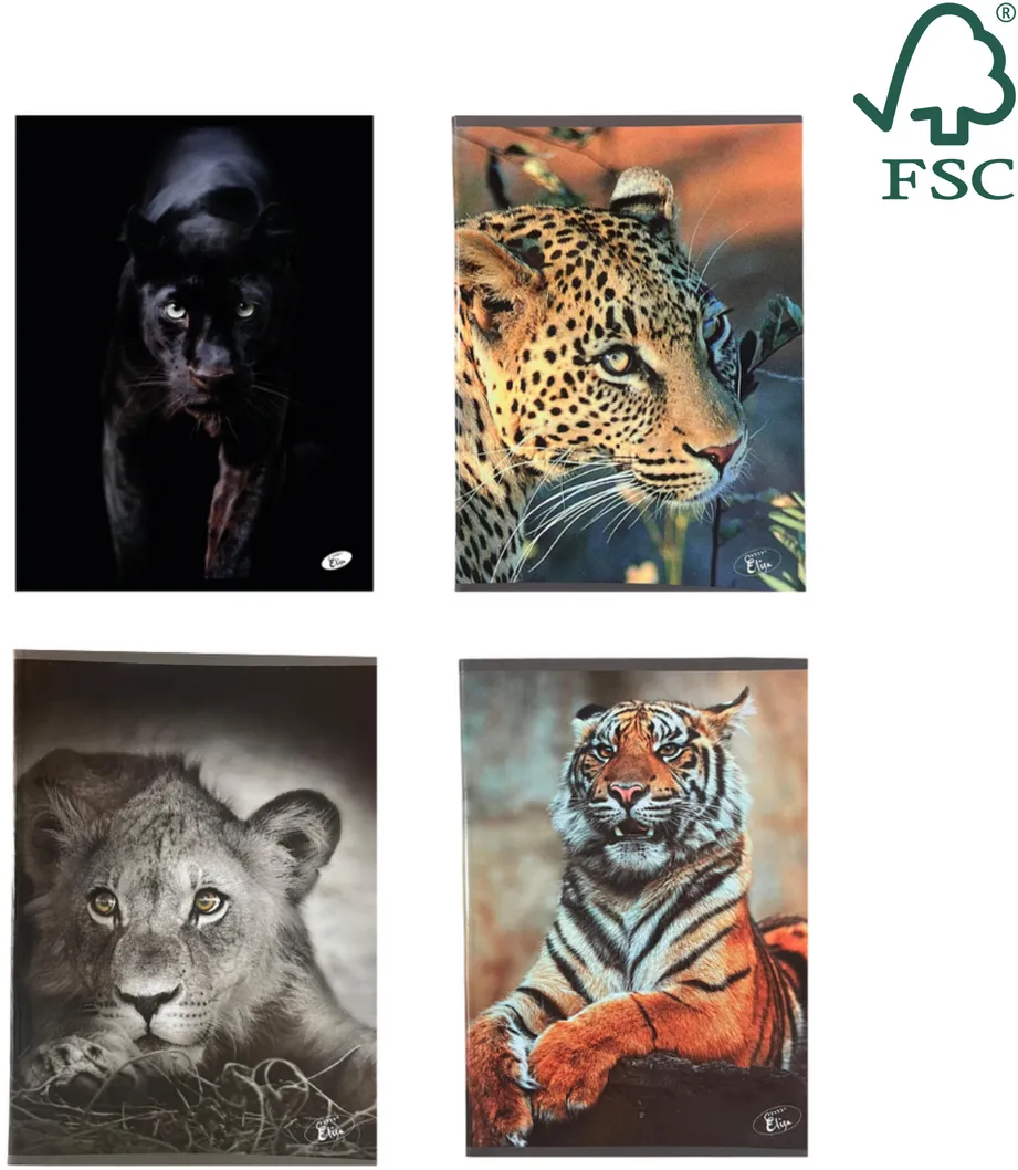 Caiete scolare import Caiet A5, 48 file, 80gsm, coperta carton 300gsm, design animals - matematica