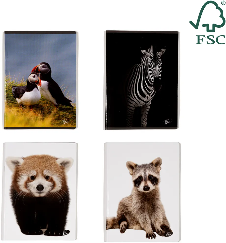 Caiete scolare import Caiet A5, 48 file, 80gsm, coperta carton 300gsm, design animals - dictando