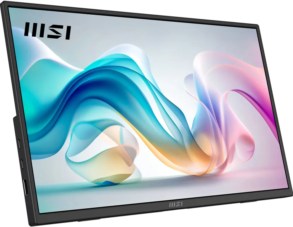 Monitor MSI PRO MP165DE E6 40cm FHD 16:9 LED HDMI USB Portable-TFT