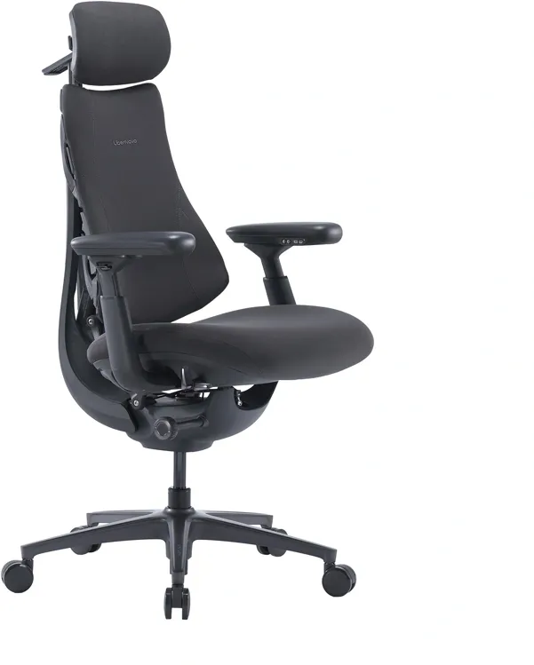 Scaun ergonomic LiberNovo Omni Pro de 48 cm (grafit)
