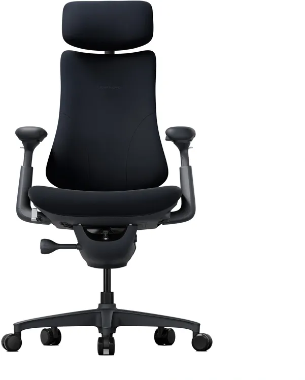 Scaun ergonomic LiberNovo Omni de 48 cm (negru)