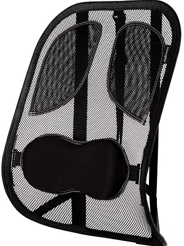Fellowes Ergonomics professional mesh back support cushion