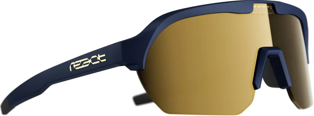 React Swiss - ochelari soare electrofotocromatici - Optray - orion - bleumarin | auriu