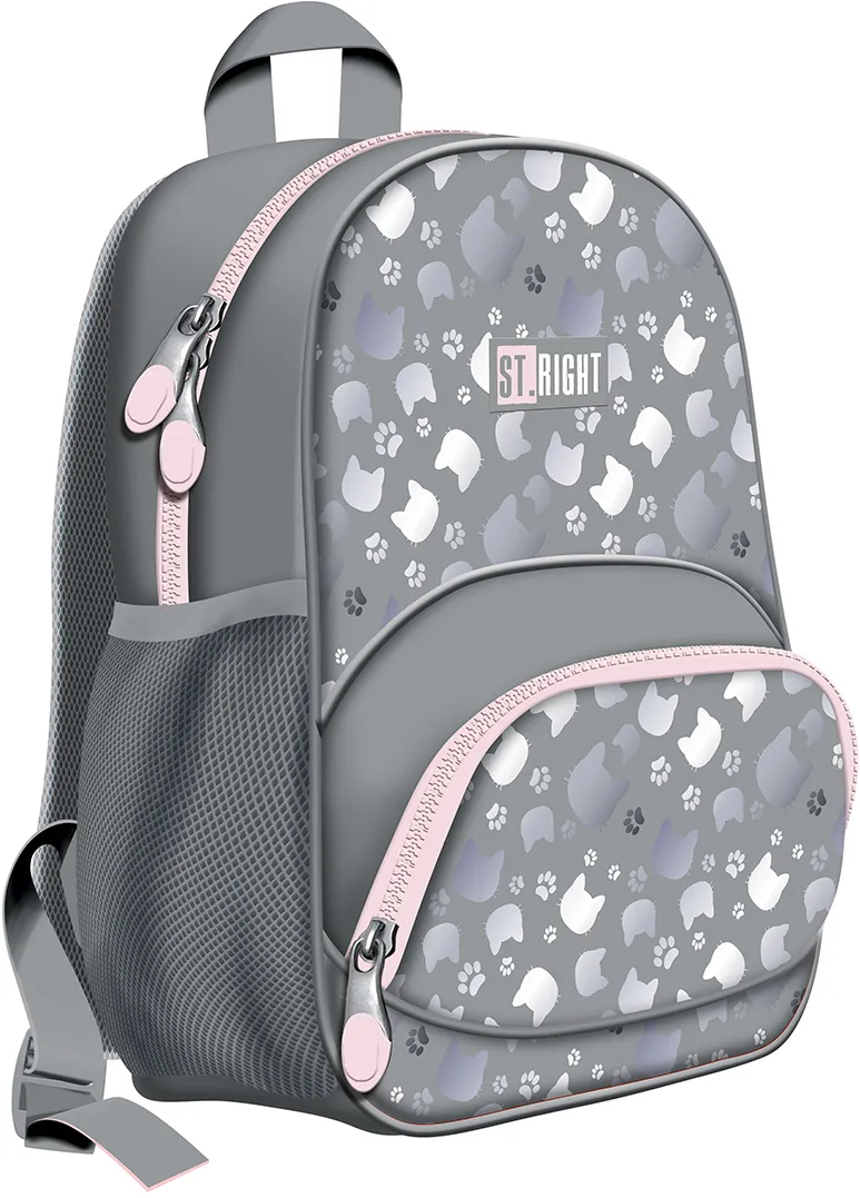 Ghiozdan BP70 ST Right Silver Cats 2 compartimente, 32x22x11 cm