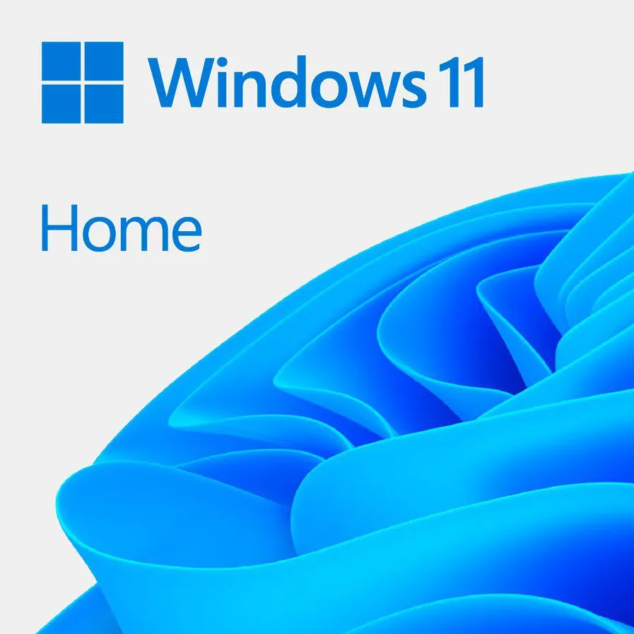LIC OEM WIN 11 HOME 64BIT RO