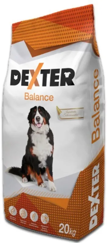 DEXTER Balance with vitamins for large breeds - dry dog food - 20 kg