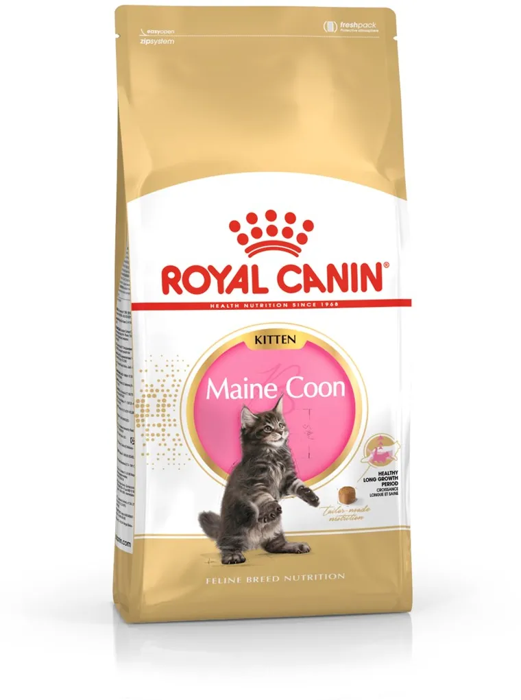 ROYAL CANIN Maine Coon Kitten - dry cat food - 2 kg