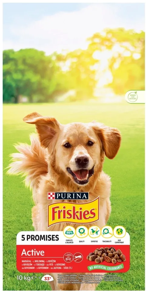 PURINA Friskies Active - dry dog food - 10 kg