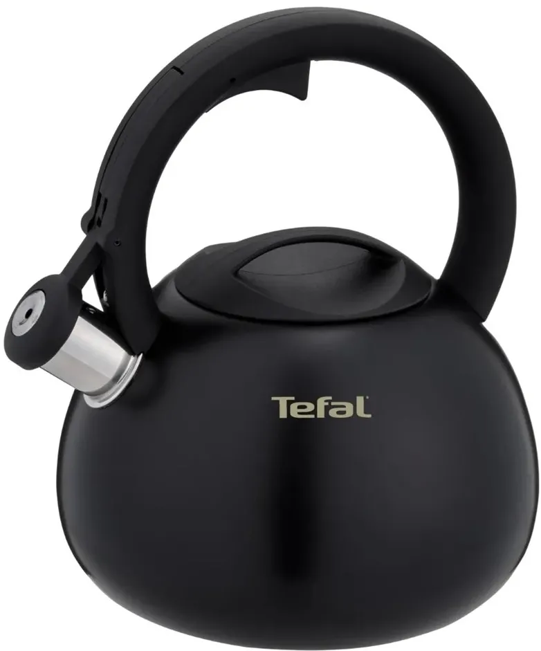 Non-Electric Kettle TEFAL N4180410, Black, Matte