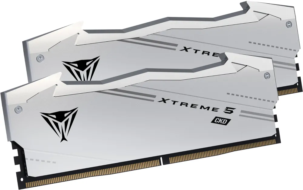 Patriot DDR5 - 48GB - 9200 - CL - 44 (2x 24 GB) Dual Kit, silver RAM, VX548G9244CK, Viper Xtreme 5 CKD, INTEL XMP