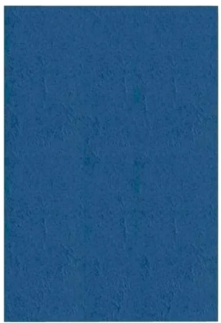 Coperti indosariere Apex, imitatie piele, A4, albastre, 100 coli/top