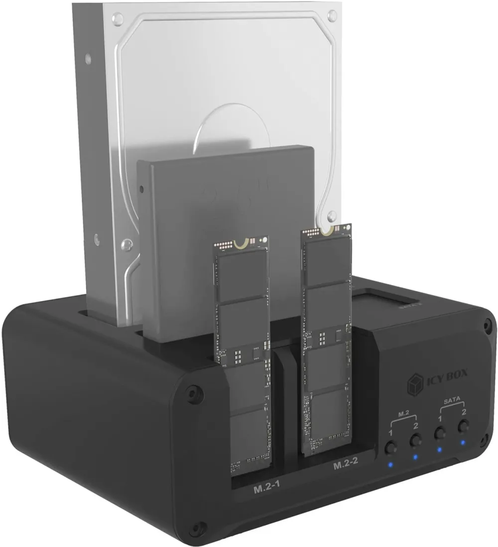 Icy Box IB-2925MS-CU31 (black)