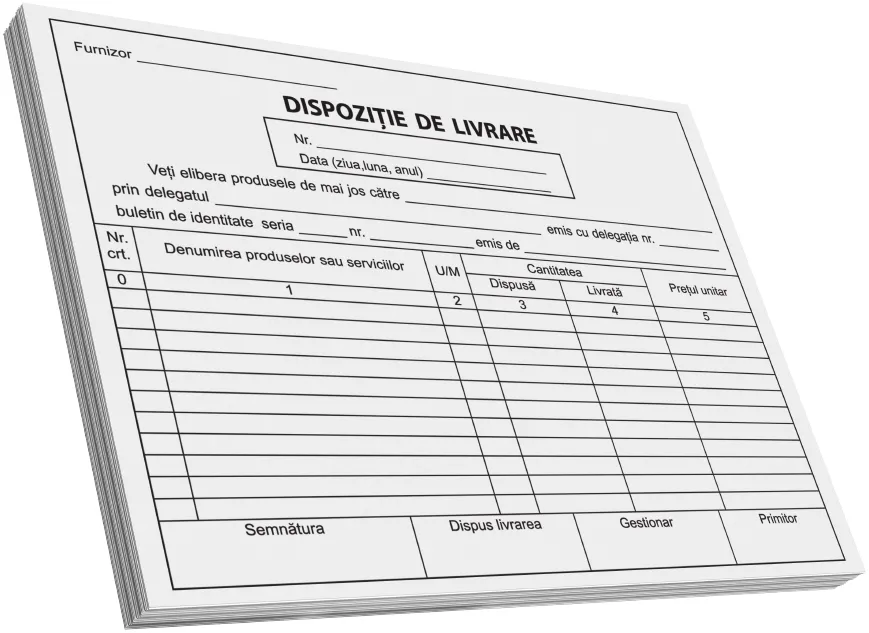 Dispozitie de livrare, A5, 100 file, fata-verso, 3 bucati/set