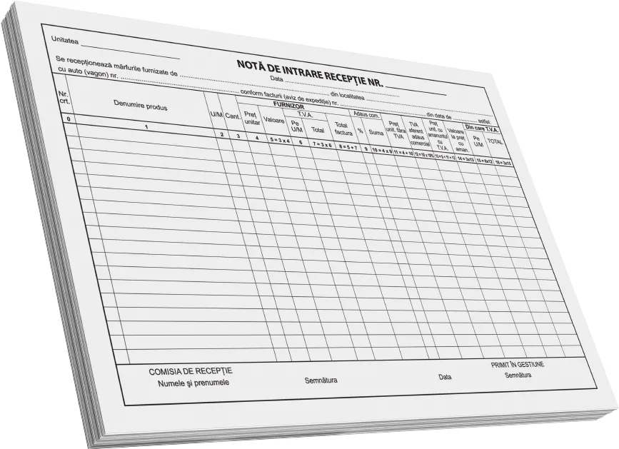 Nota de intrare-receptie A4, 100 file, fata, 3 bucati/set
