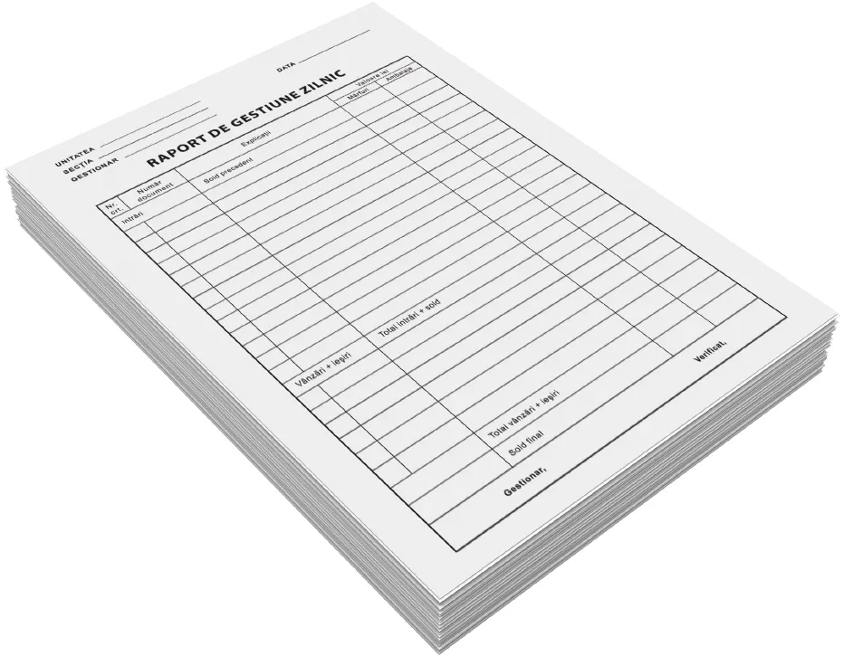 Raport gestiune zilnic, A4, 100 file, fata, 3 bucati/set