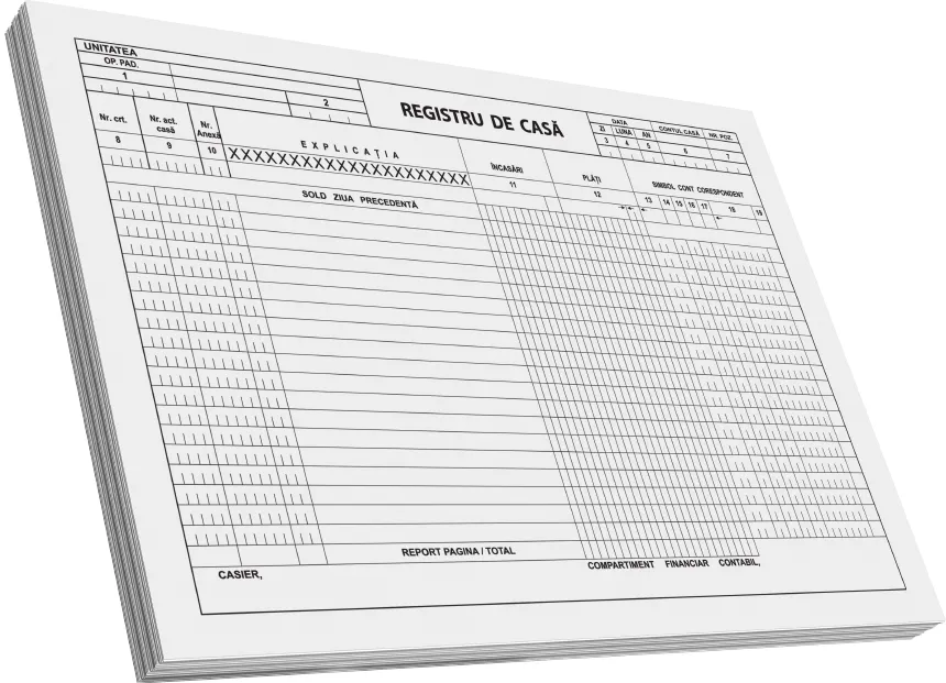 Registru de casa, A4, 100 file, tipat fata, 3 bucati/set