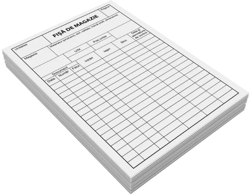 Fise de magazie fila carton A5, FV, 100 file/set
