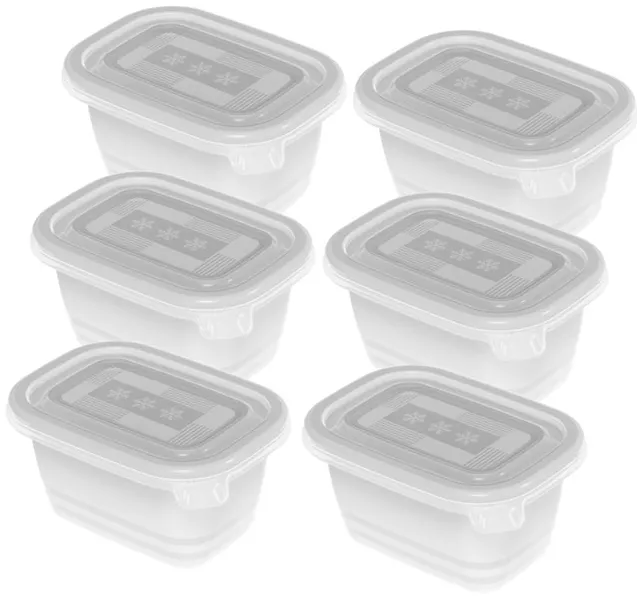 ROTHO Freeze - freezer container - 6x250ml