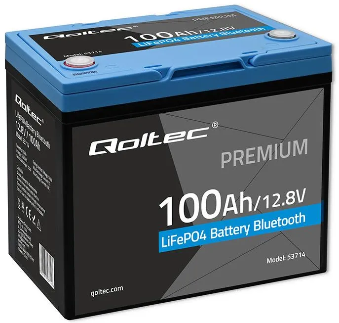 LiFePO4 battery 12.8V 100Ah 1280Wh BMS