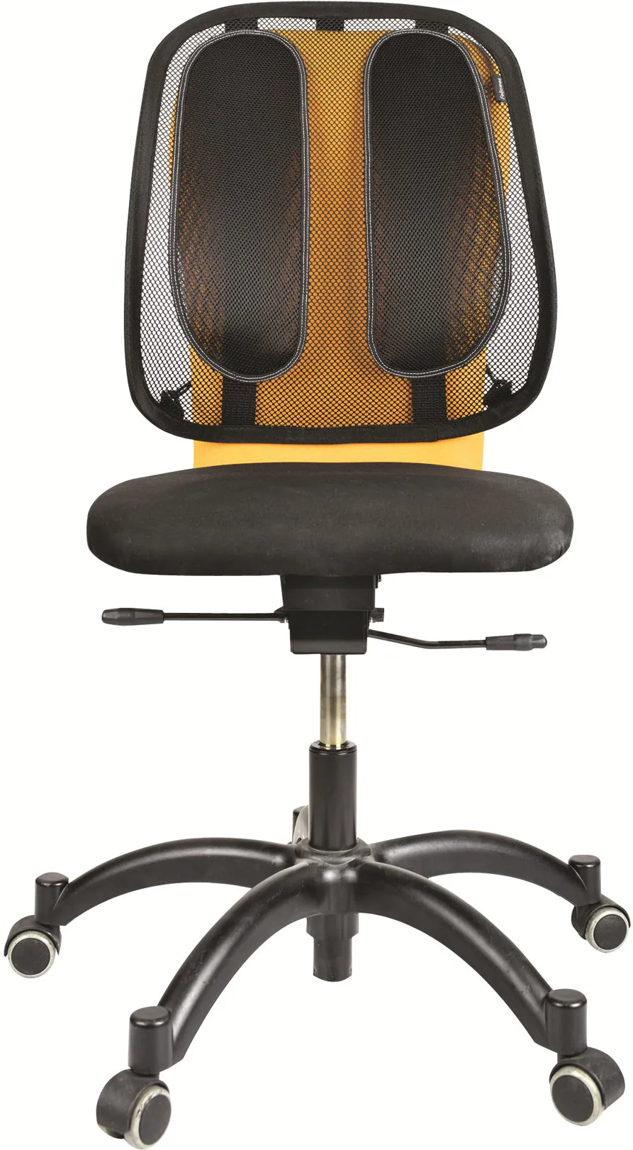 Fellowes Office Suites mesh back support