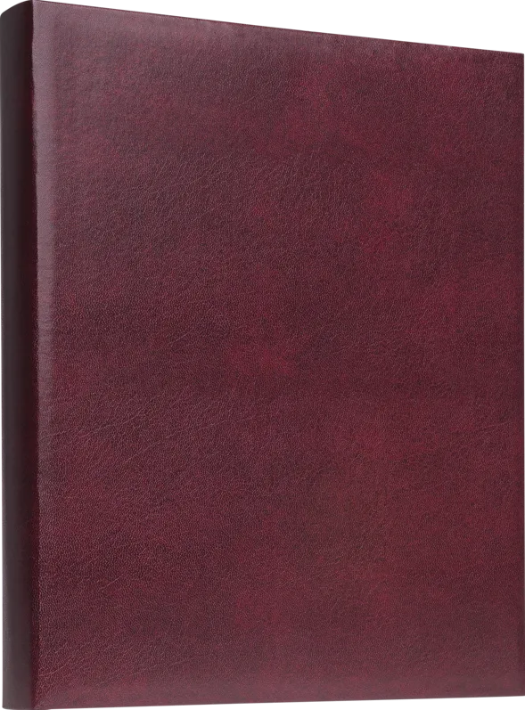 Focus Prestige Ringbinder Red