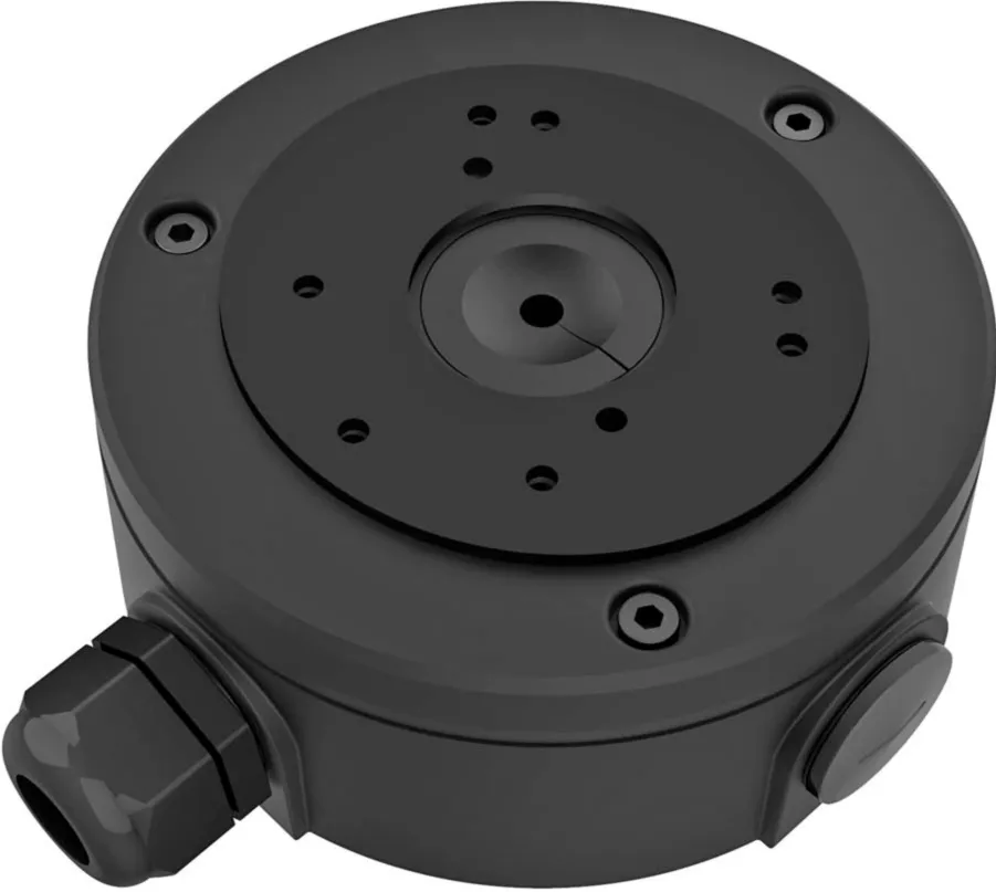 Foscam V5P, surveillance camera (black)