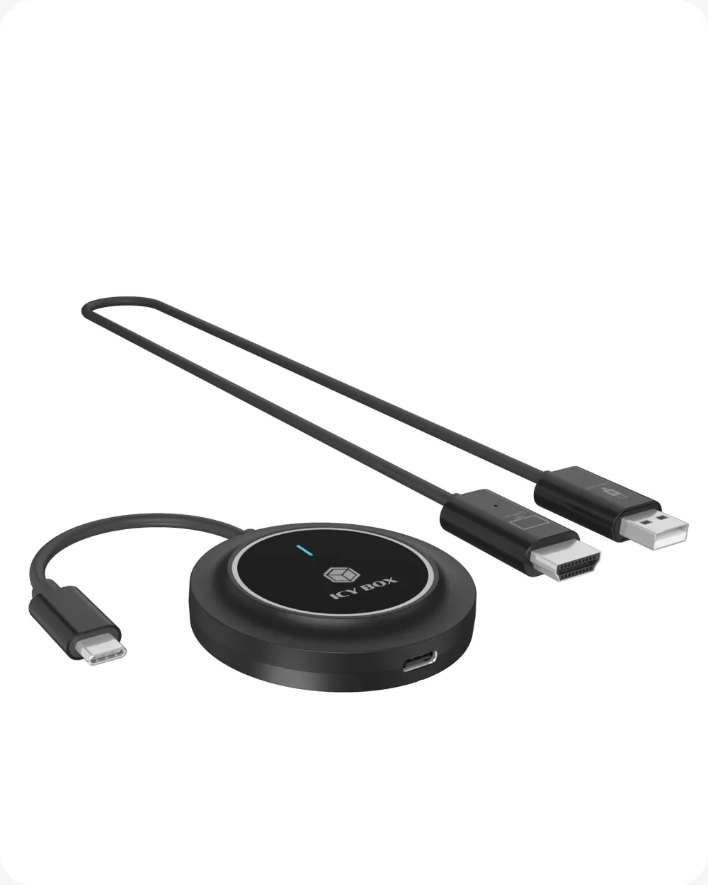 Icy box IB-WL101 (100W power 30m wireless range)