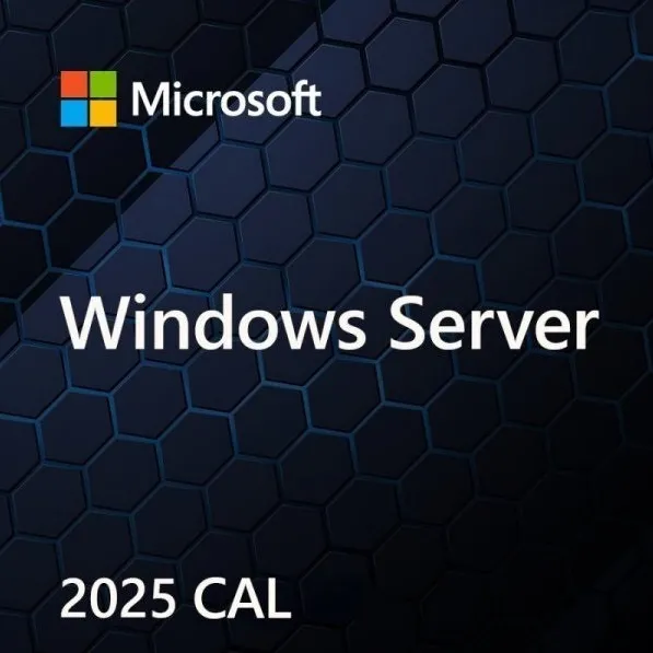Microsoft Windows Server CAL 2025 Client Access License (CAL) 1 license(s)