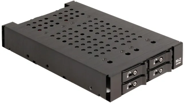 DeLOCK 3.5? Removable frame for 4 x M.2 NVMe SSD