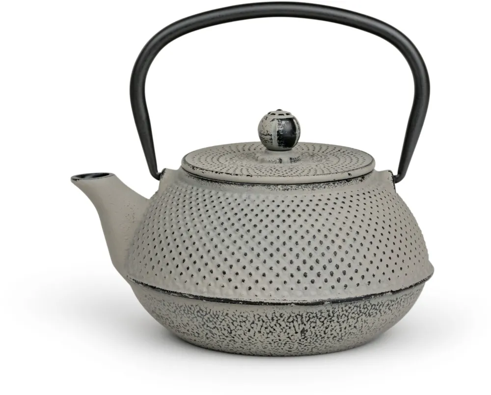 Bredemeijer Teapot Jang 0,8l Cast Iron grey + Filter 153022