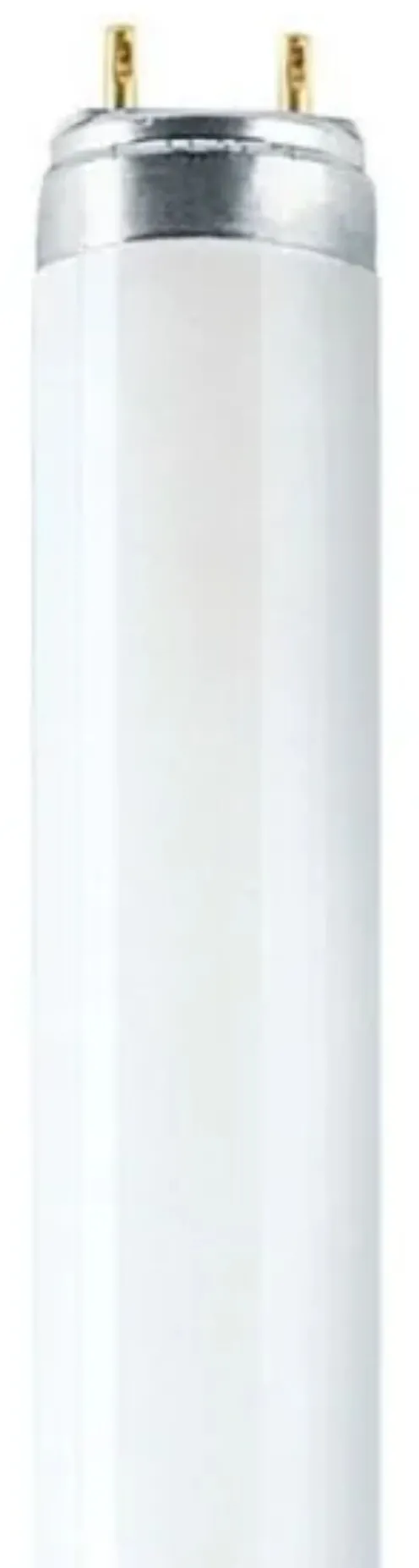Osram Leuchtstoffröhre L T8 36W/840 G13 97 cm
