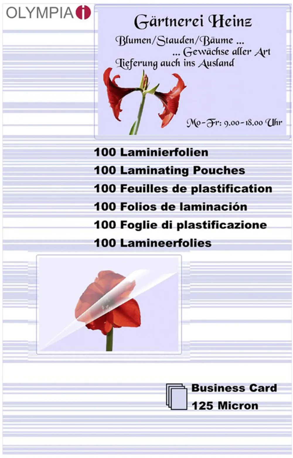 Olympia Laminierfolie Visitenkarte 125 Mic 100 Stück transp.