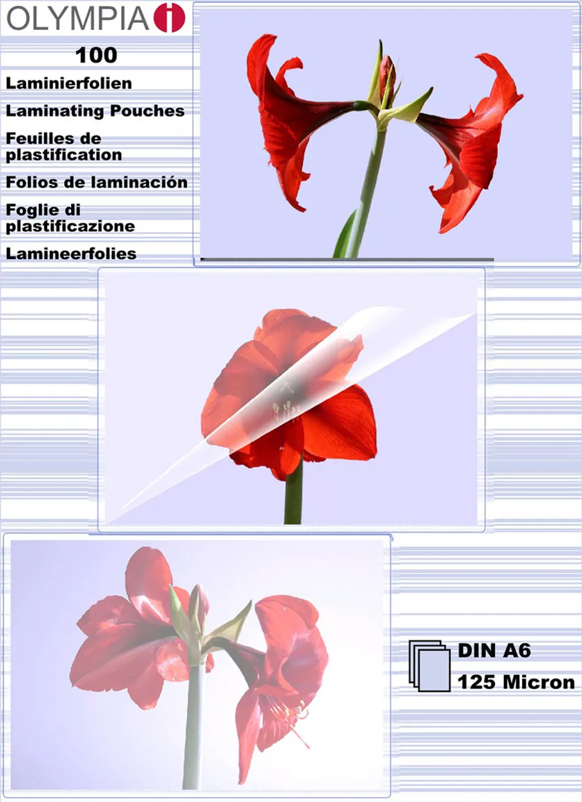 Set 100 folii laminare OLYMPIA A6 125 microni transparente