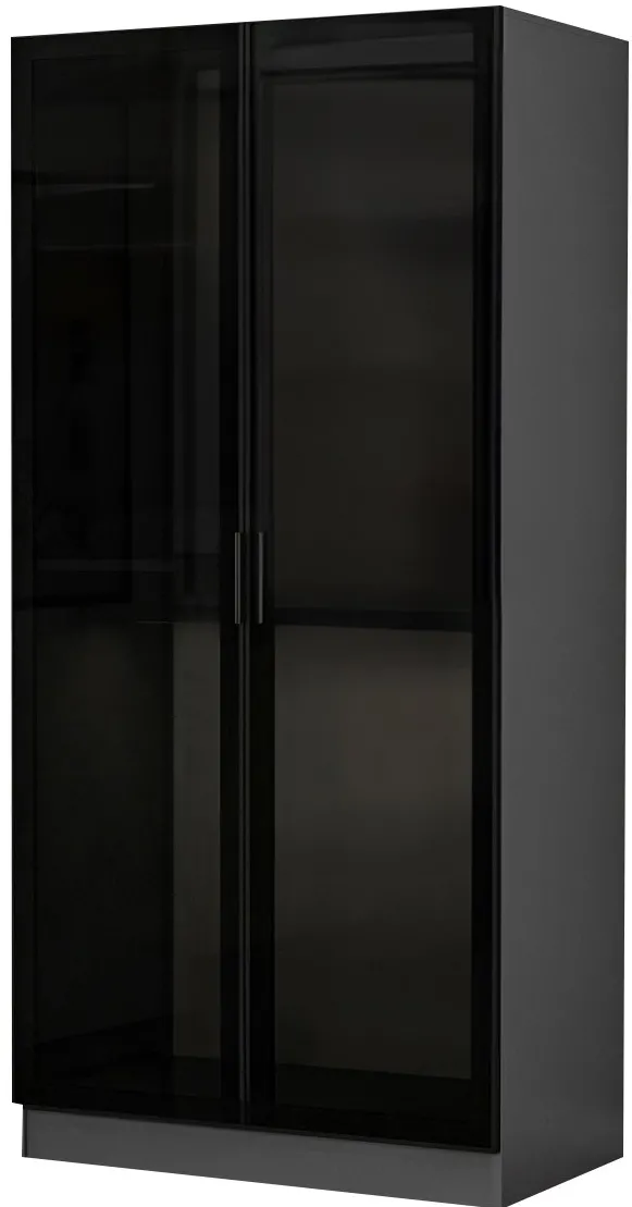 Dulap Hanah Home Kale Glass Anthracite - 210, Negru / Antracit