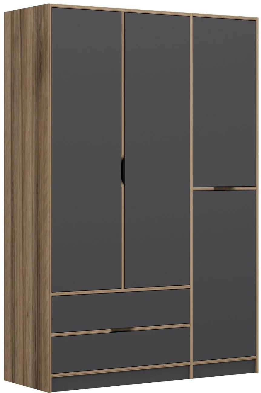 Dulap Hanah Home Elina - 8163, Antracit / Auriu