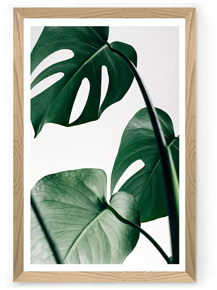 Tablou decorativ Wallity Tekhammdf46, Multicolor