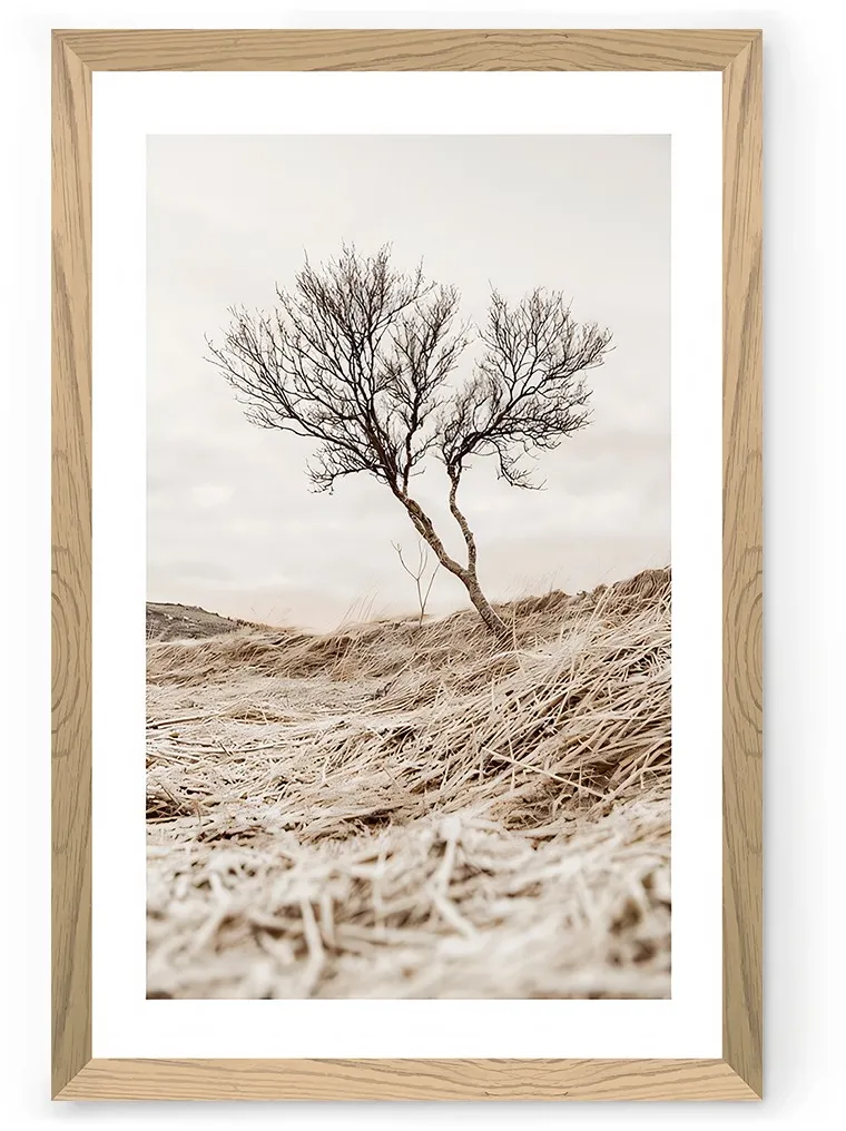 Tablou decorativ Wallity Tekhammdf134, Multicolor