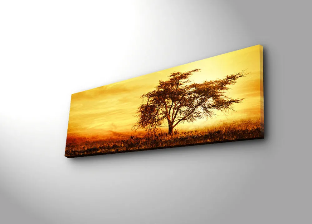 Tablou canvas cu iluminare LED Wallity 3090İACT-27, Multicolor