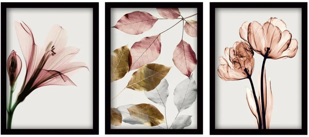 Tablou cu ramă (3 piese) Wallity 3SC194, Multicolor